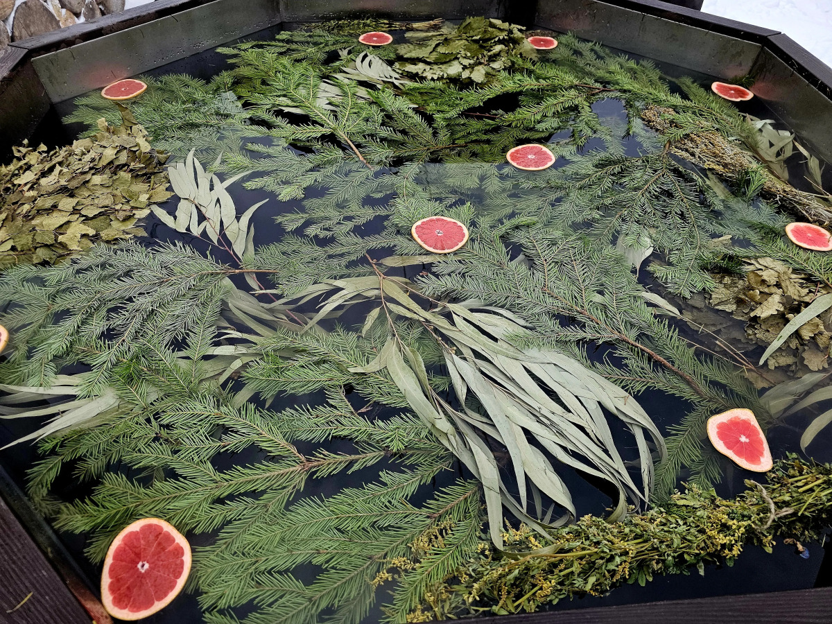 Коттедж Черничный Склон Orhid House