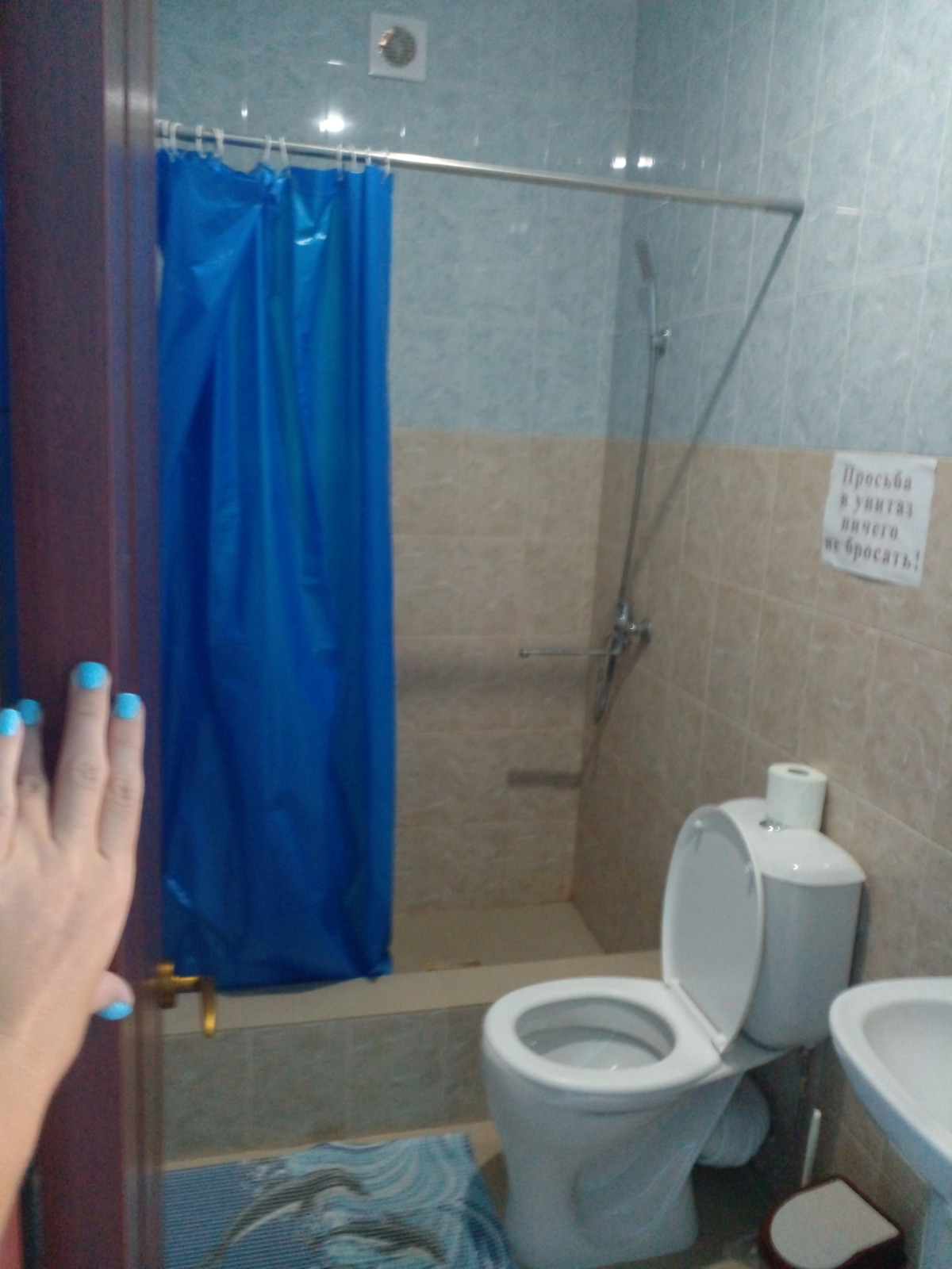 Гостевой дом в Пицунде у озера Наала