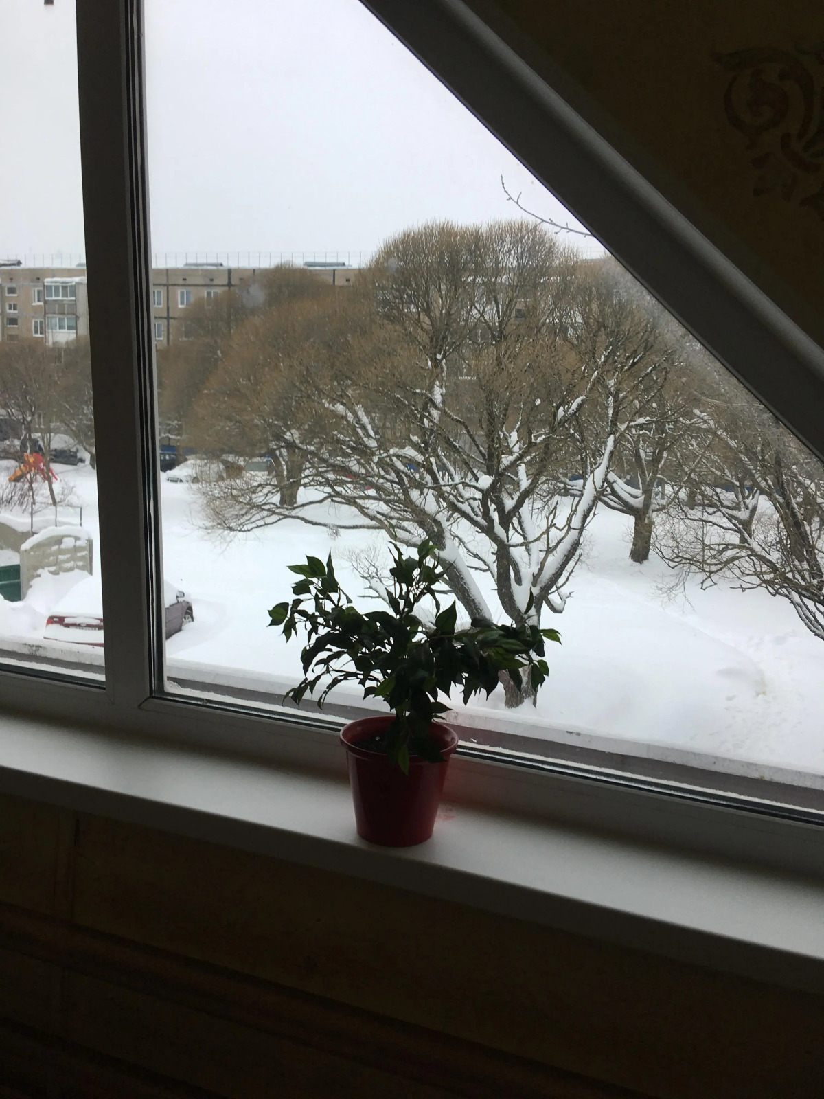 Гостевой дом ЛОФТ