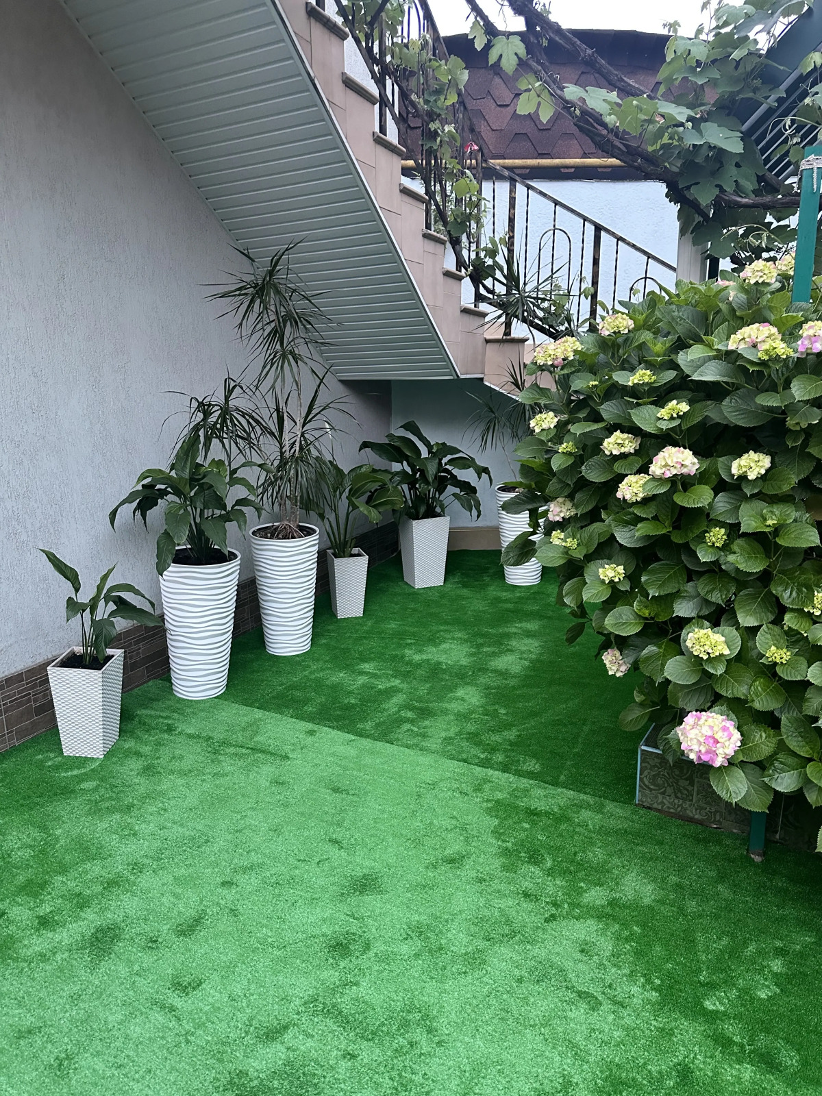 Меблированные комнаты в гостевом доме Кристина