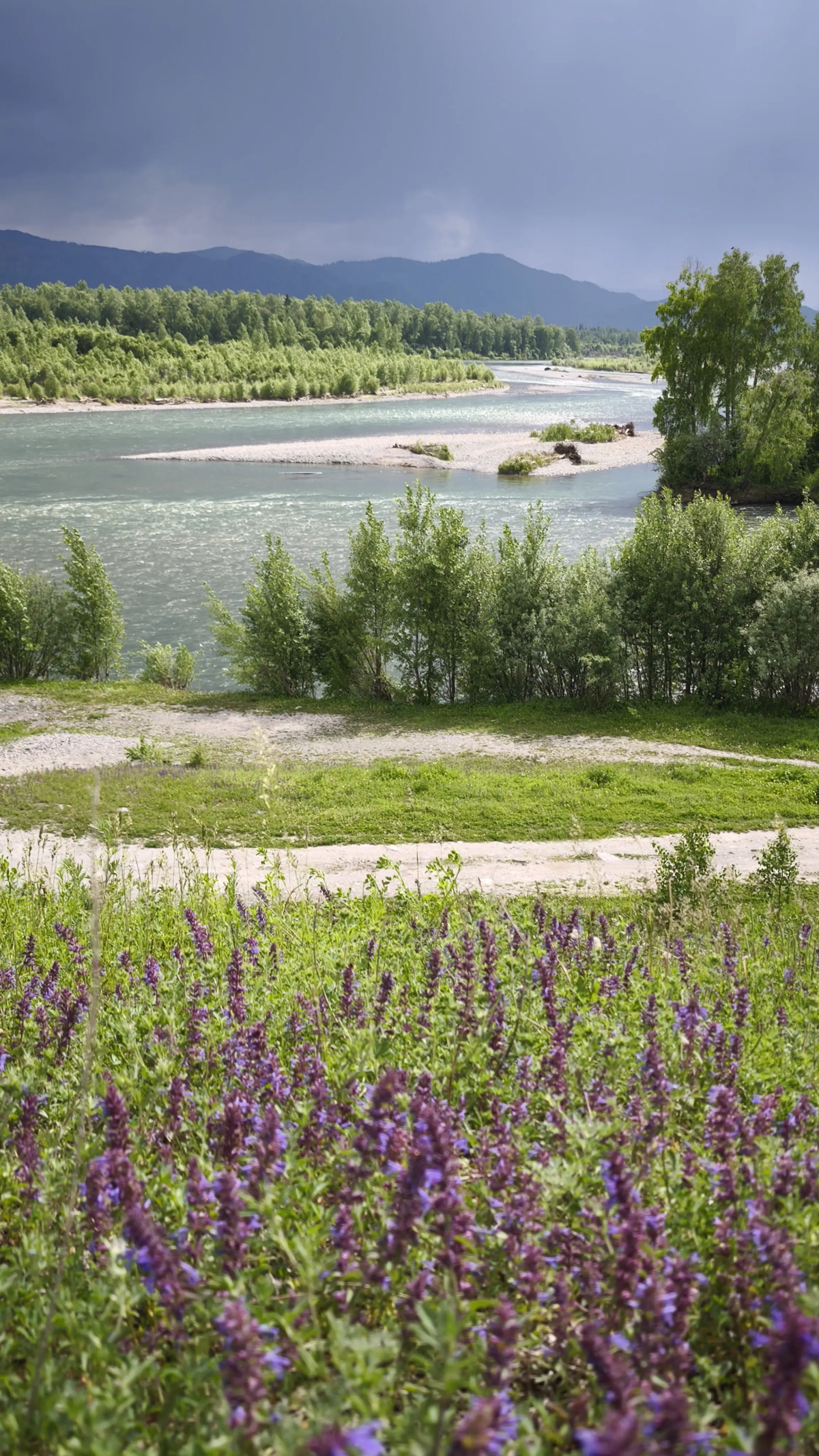 Частный дом Современный гостевой дом на слиянии рек Катунь и Кокса