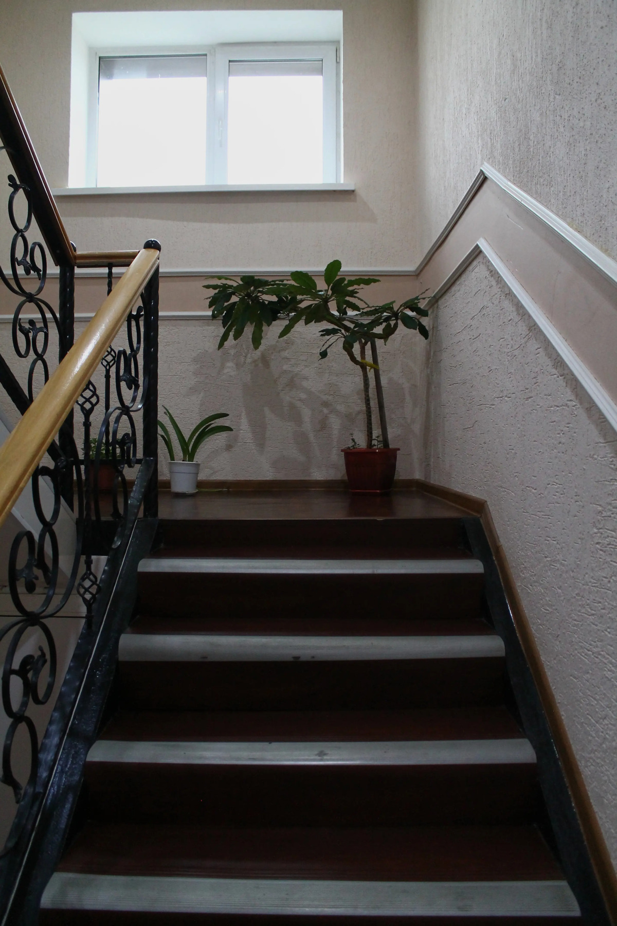 Мебелированные комнаты Медвежонок