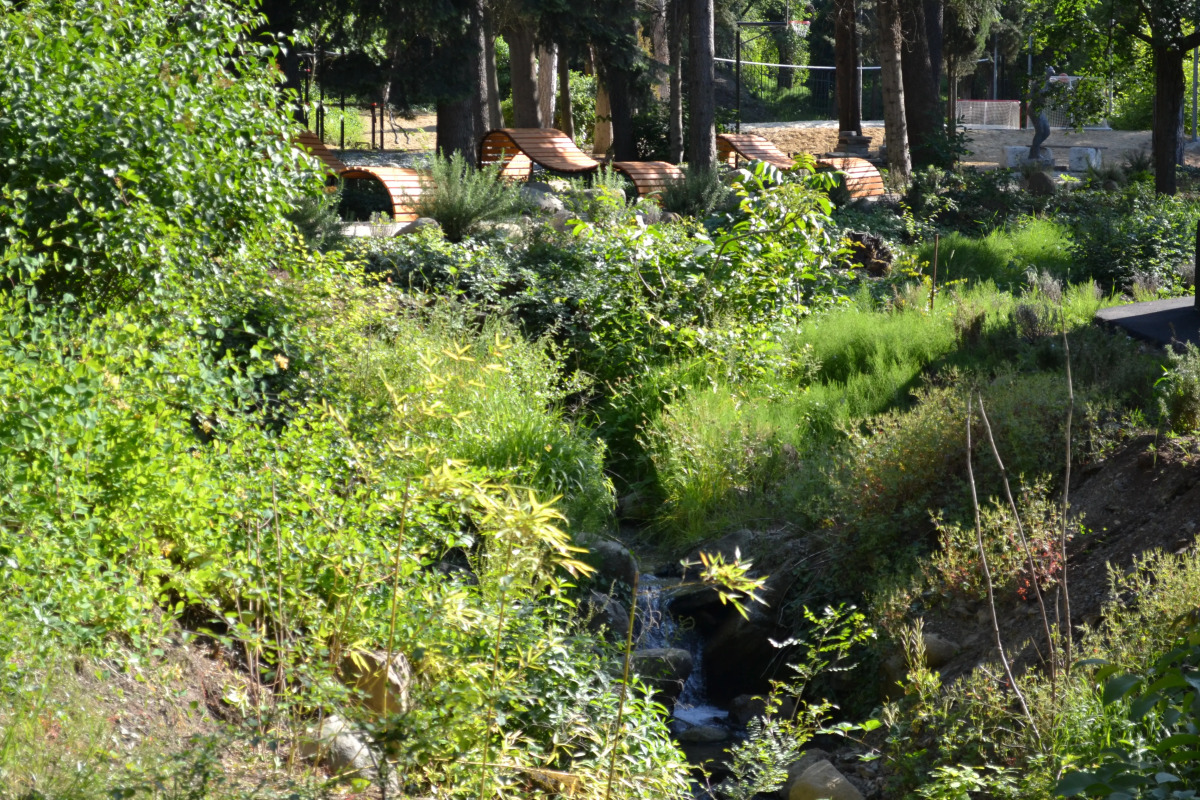 Санаторий Лес