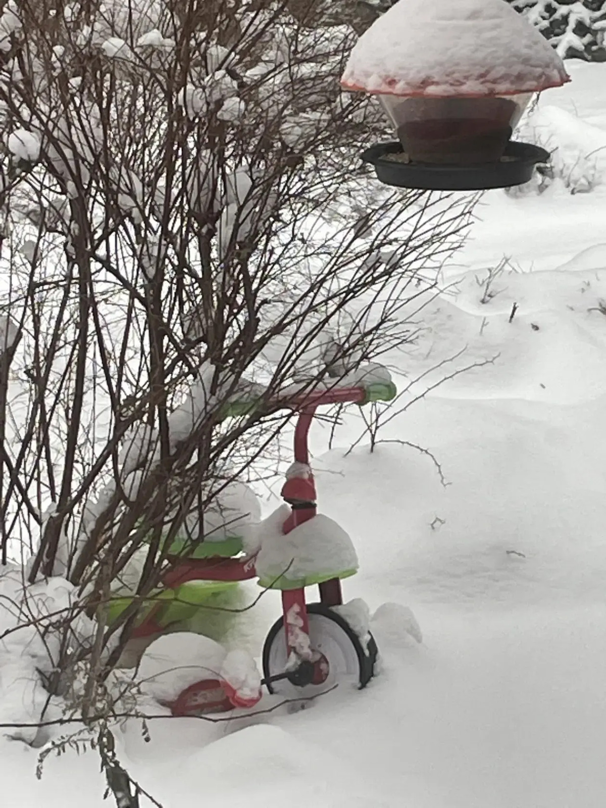 Гостевой дом Моя Провинция