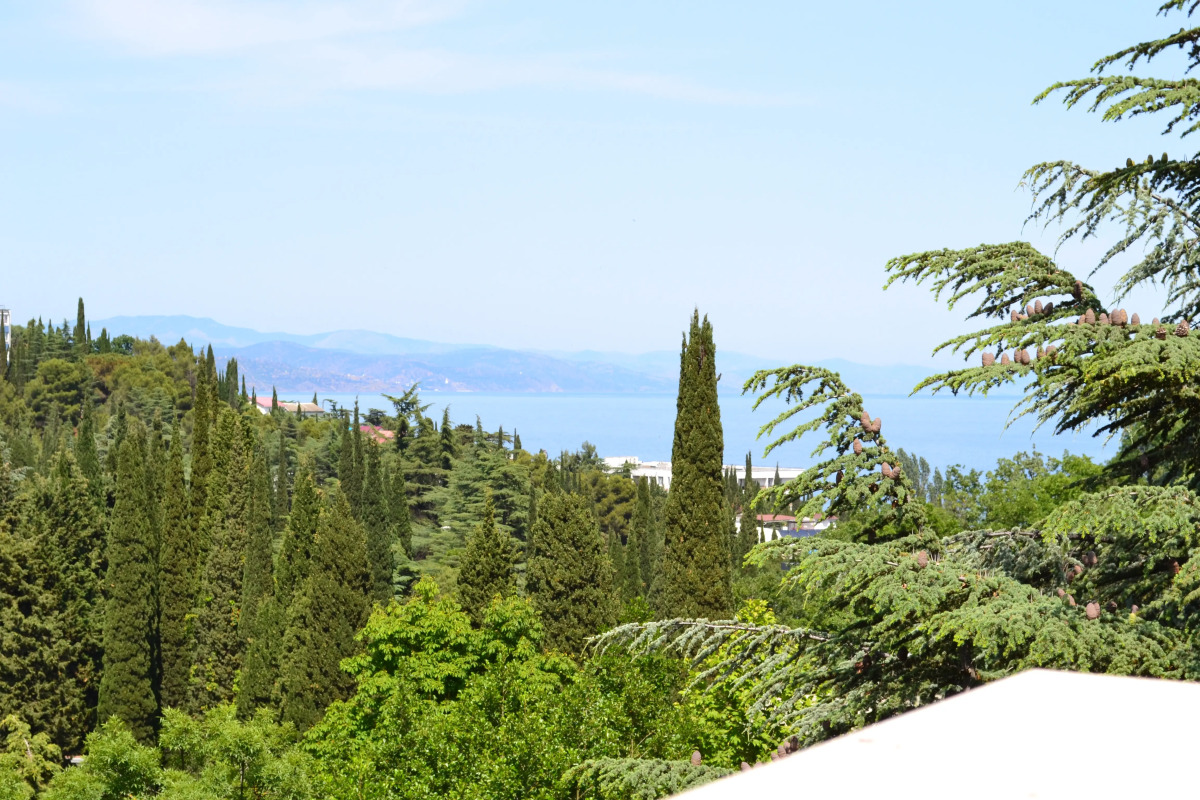 Санаторий Лес