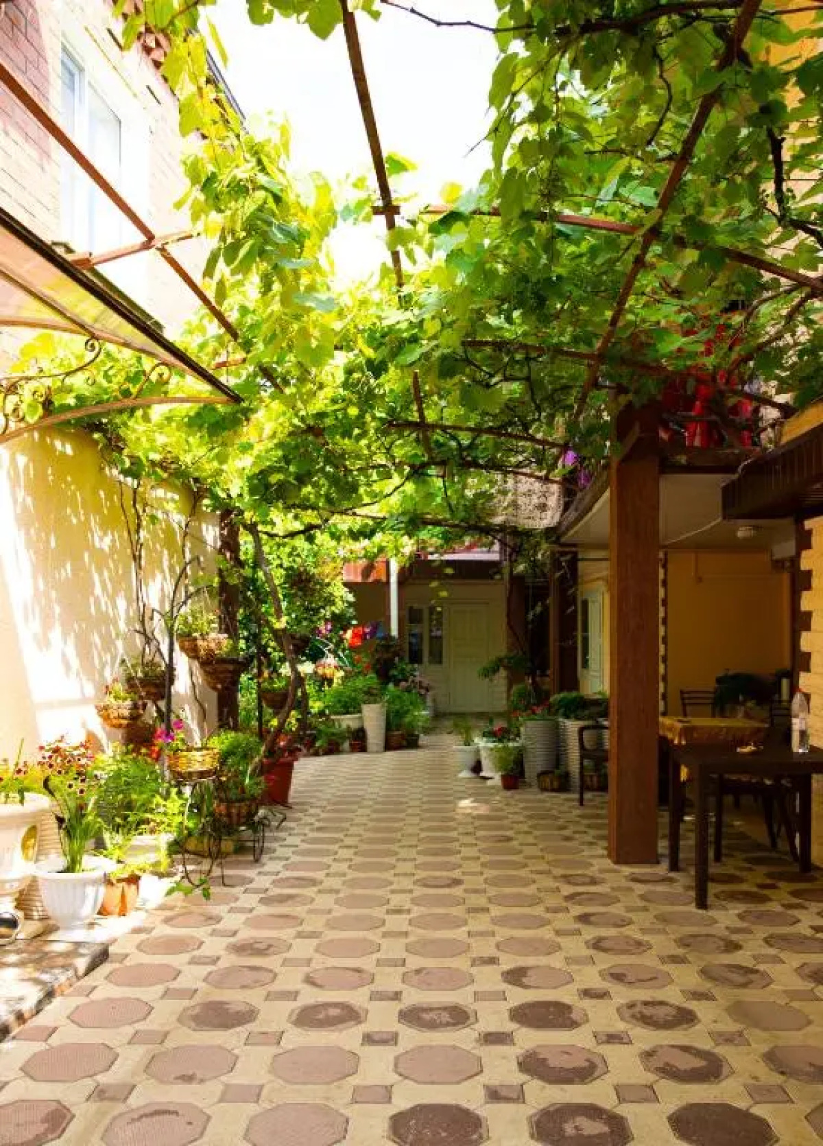 Гостевой дом Аленка