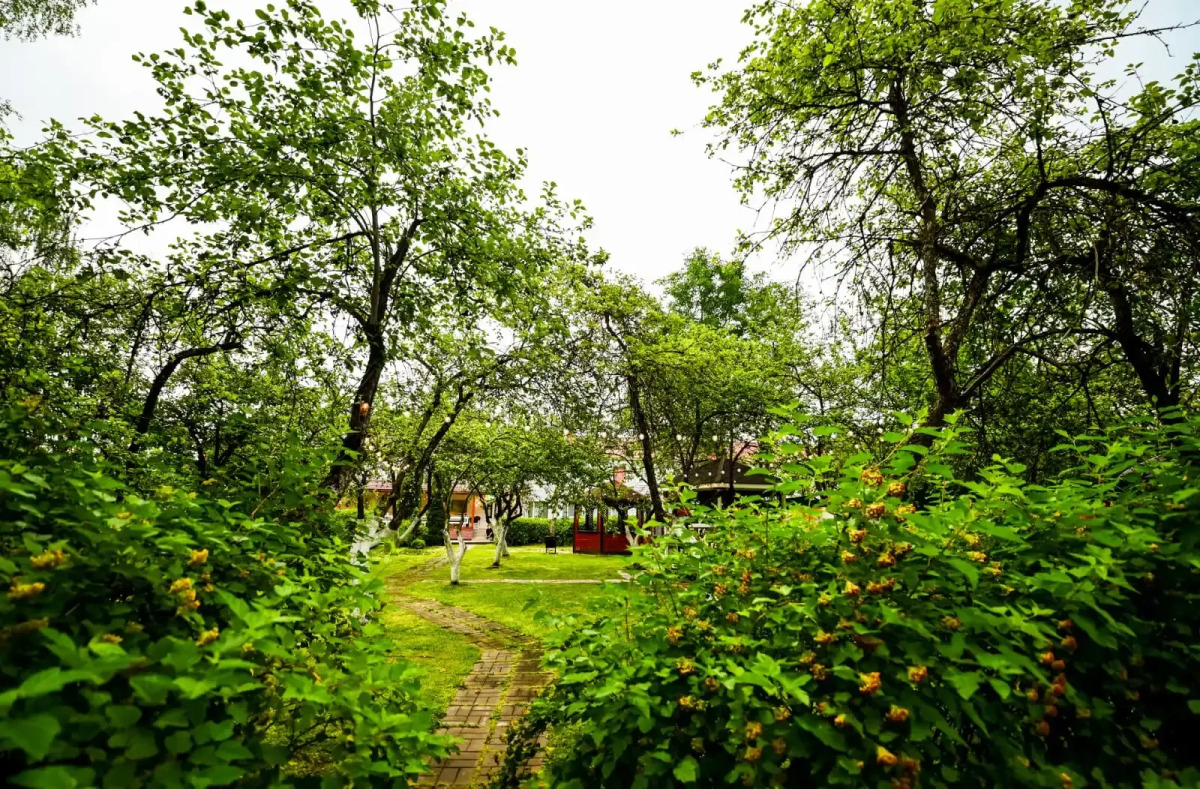 Мини-Отель Гармония Плюс