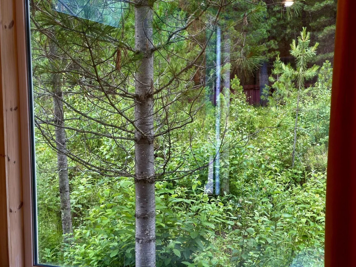 Частный Дом в Окружении Кедpового Леса со Своей Террасой и Мангальной Зоной