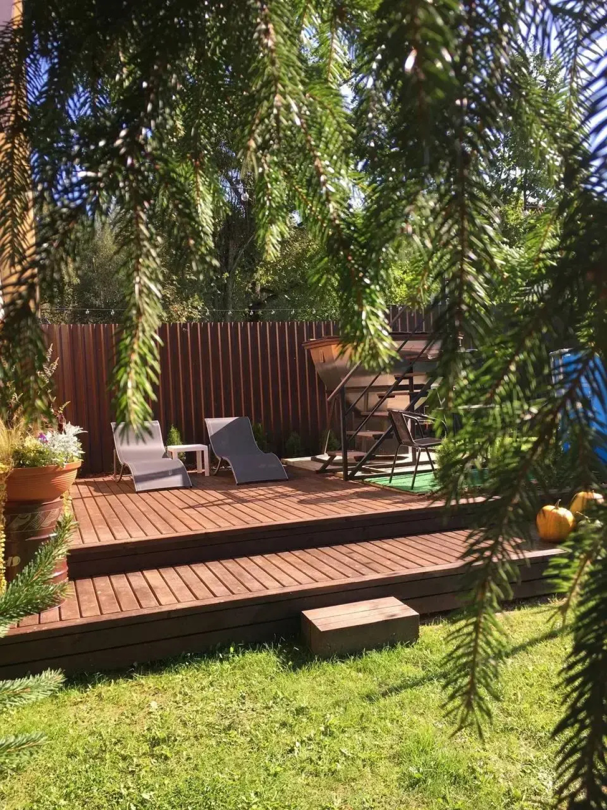 Гостевой дом Елки-палки