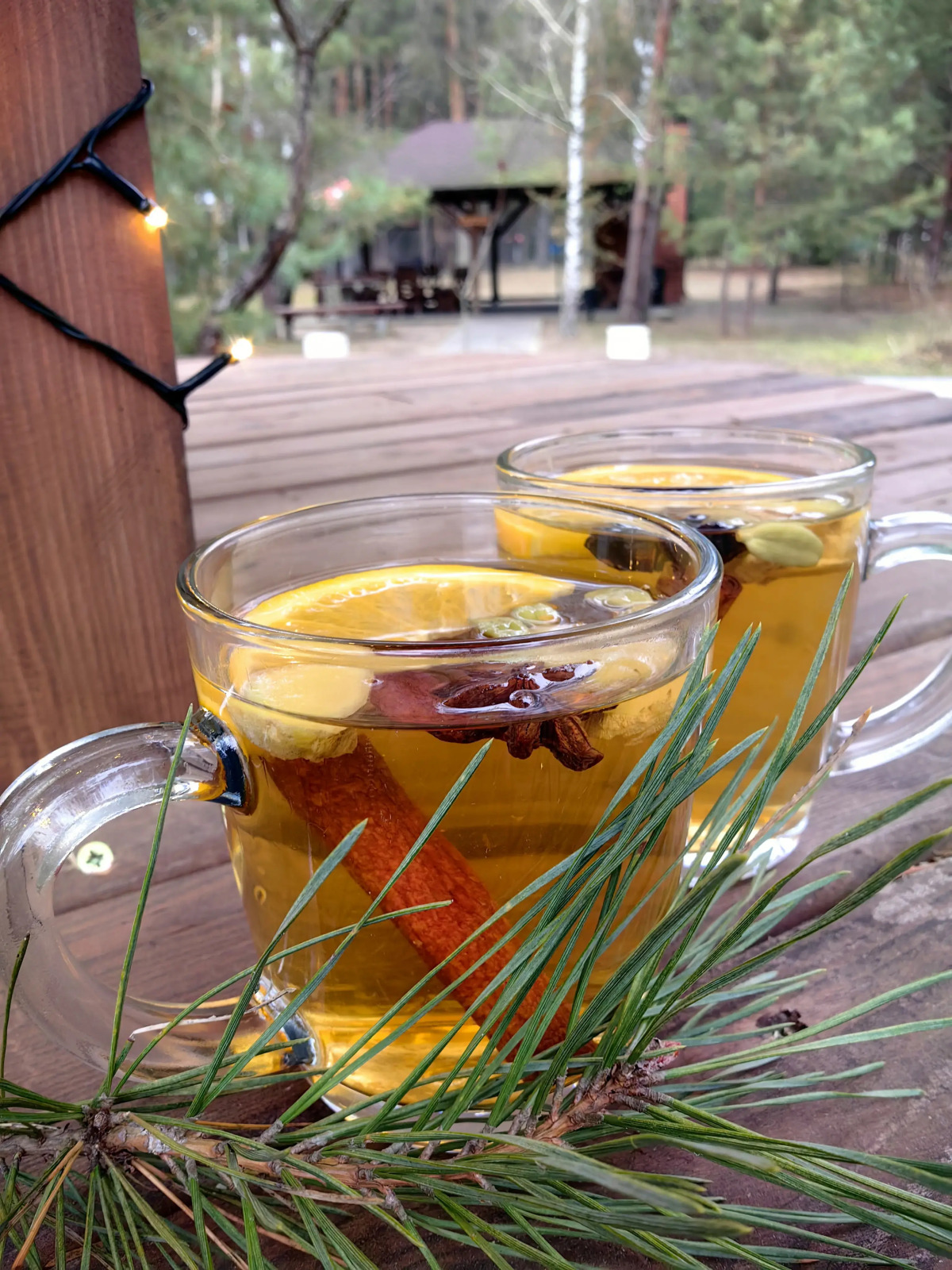 База отдыха Парк Полянка