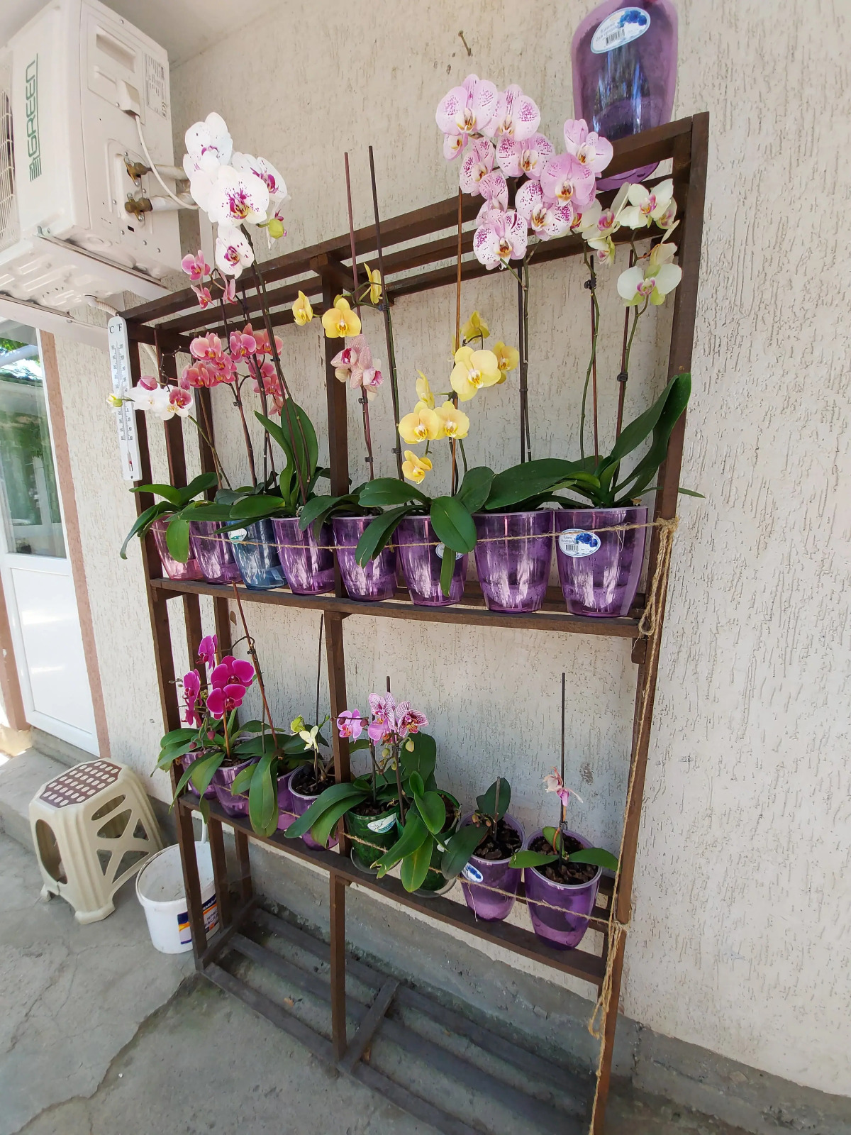 Гостевой Дом На Садовой 13