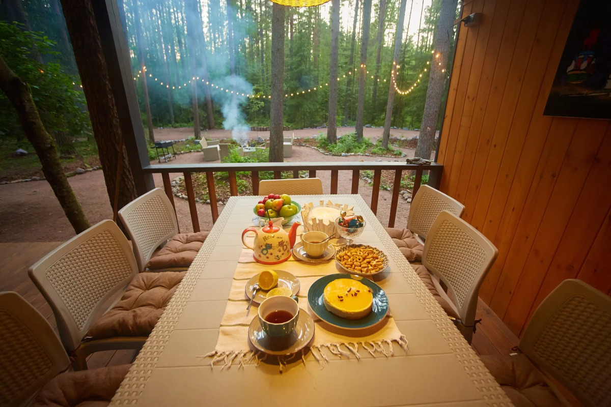 Частный дом Большая Репинская дача в лесу