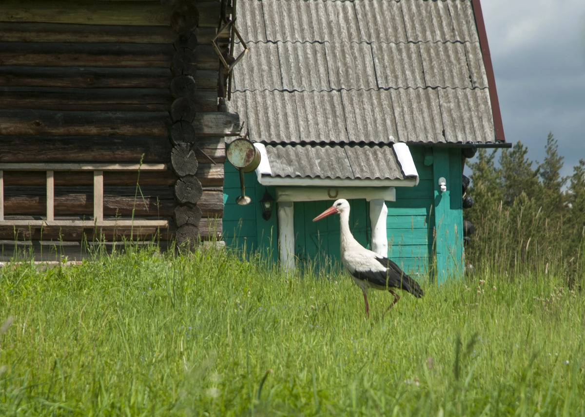 Домик в Русском Стиле