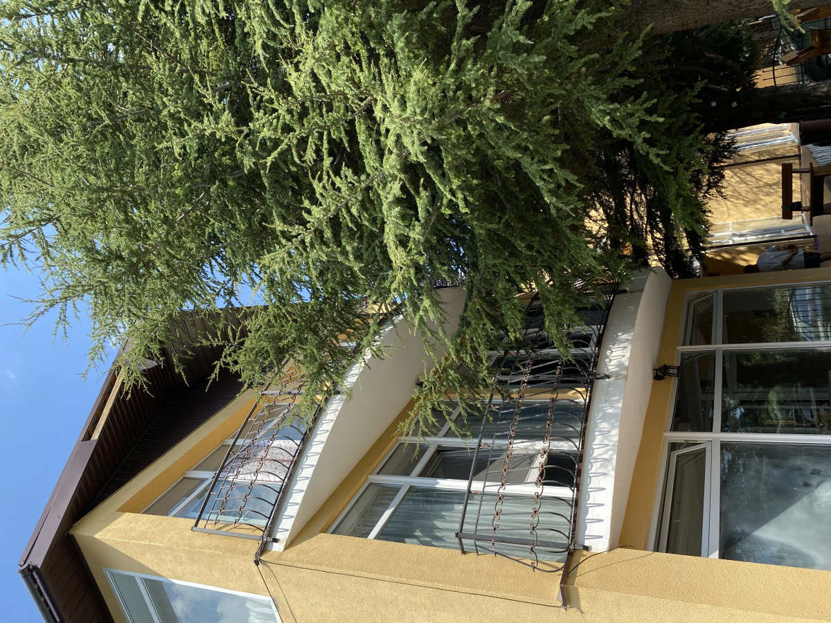 Гостевой дом Экодом Кедровый