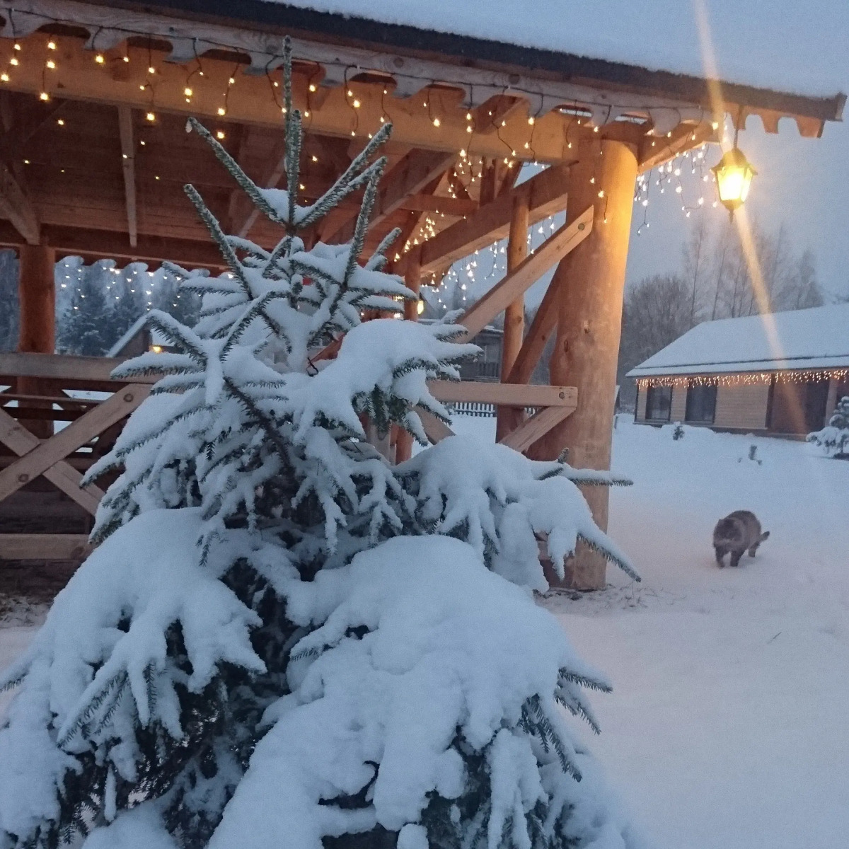 Апартаменты У лукоморья