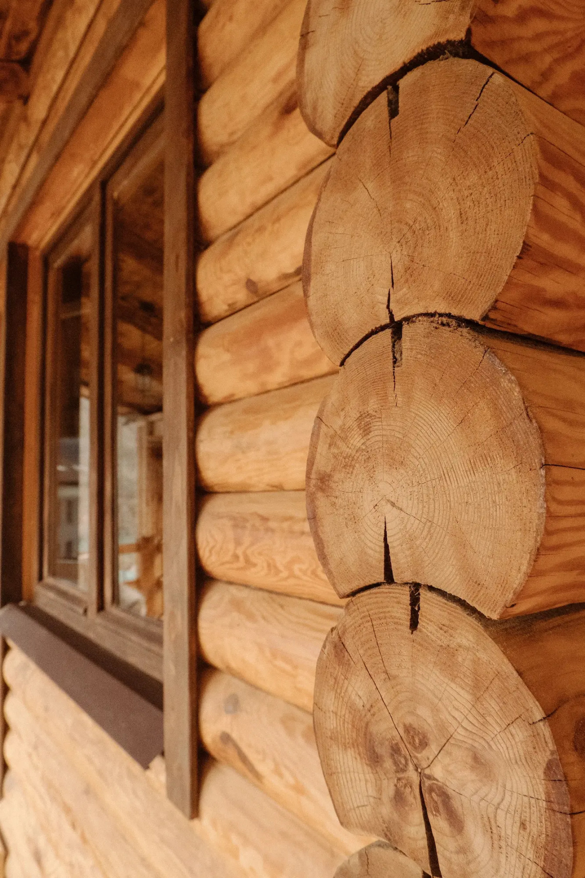 Гостевой дом РА в пространстве SUNSVET