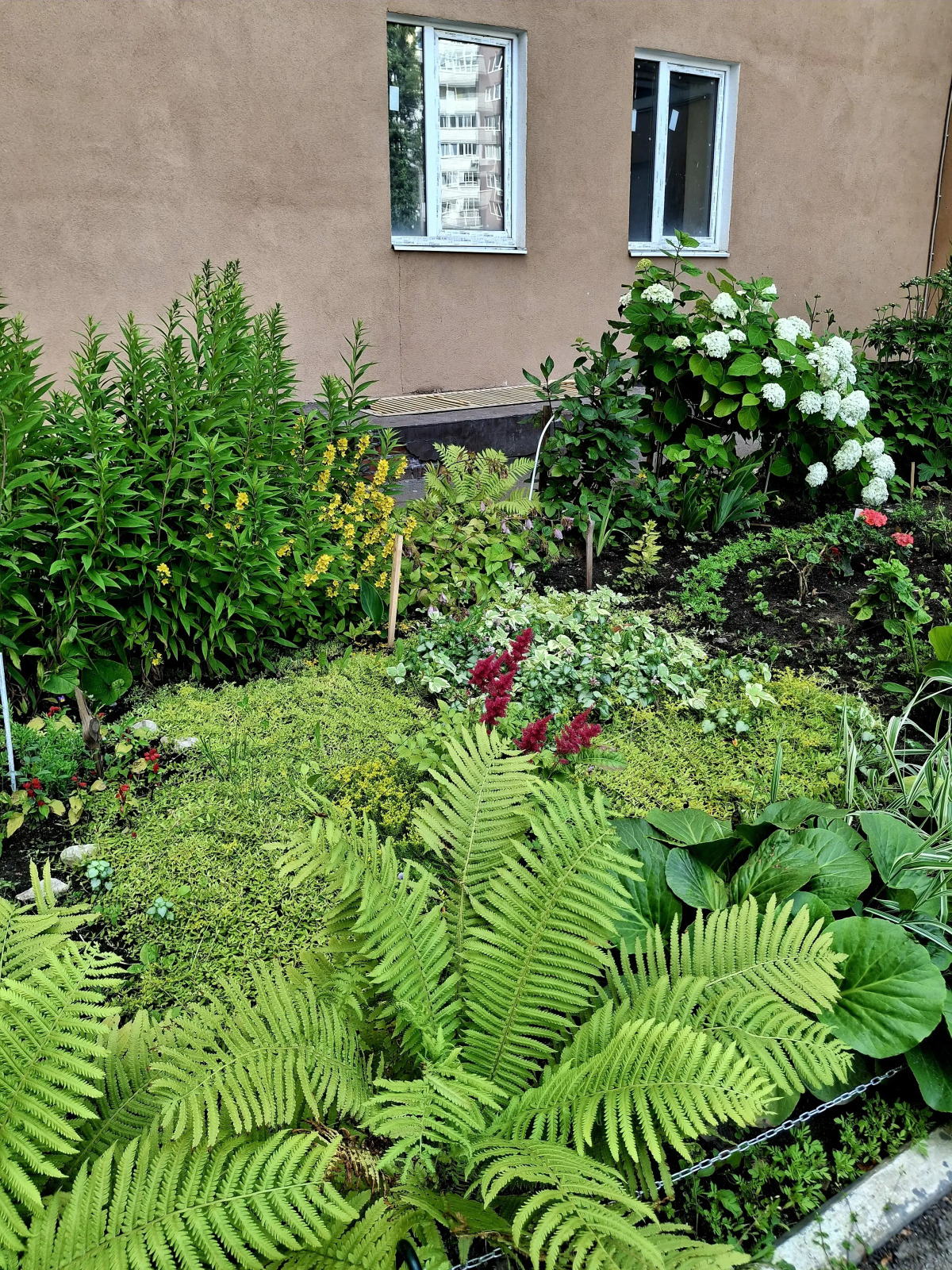 Апартаменты идеальные для отдыха