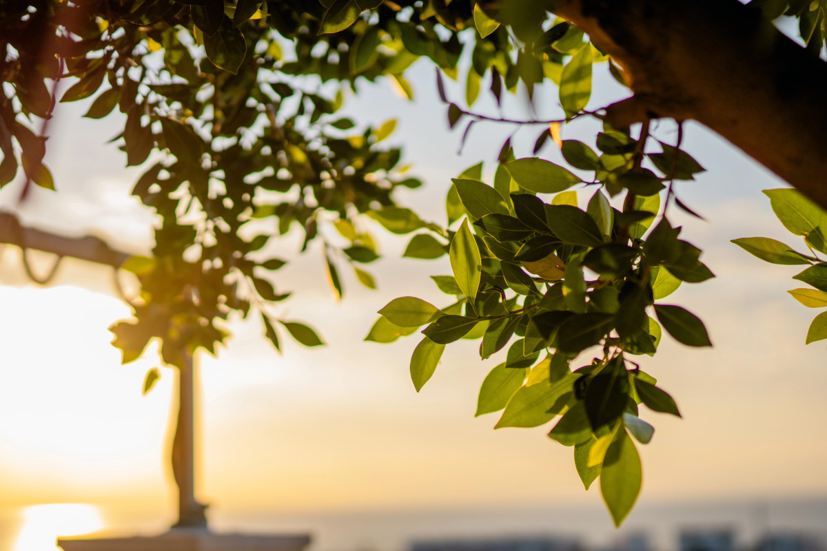 Hotel TEK HAN KUMKUYU