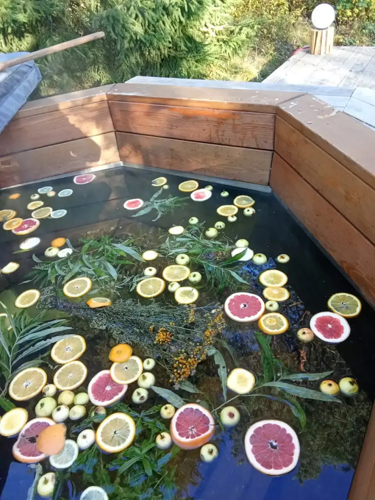 Частный дом Коттедж Аскелма-Ольха