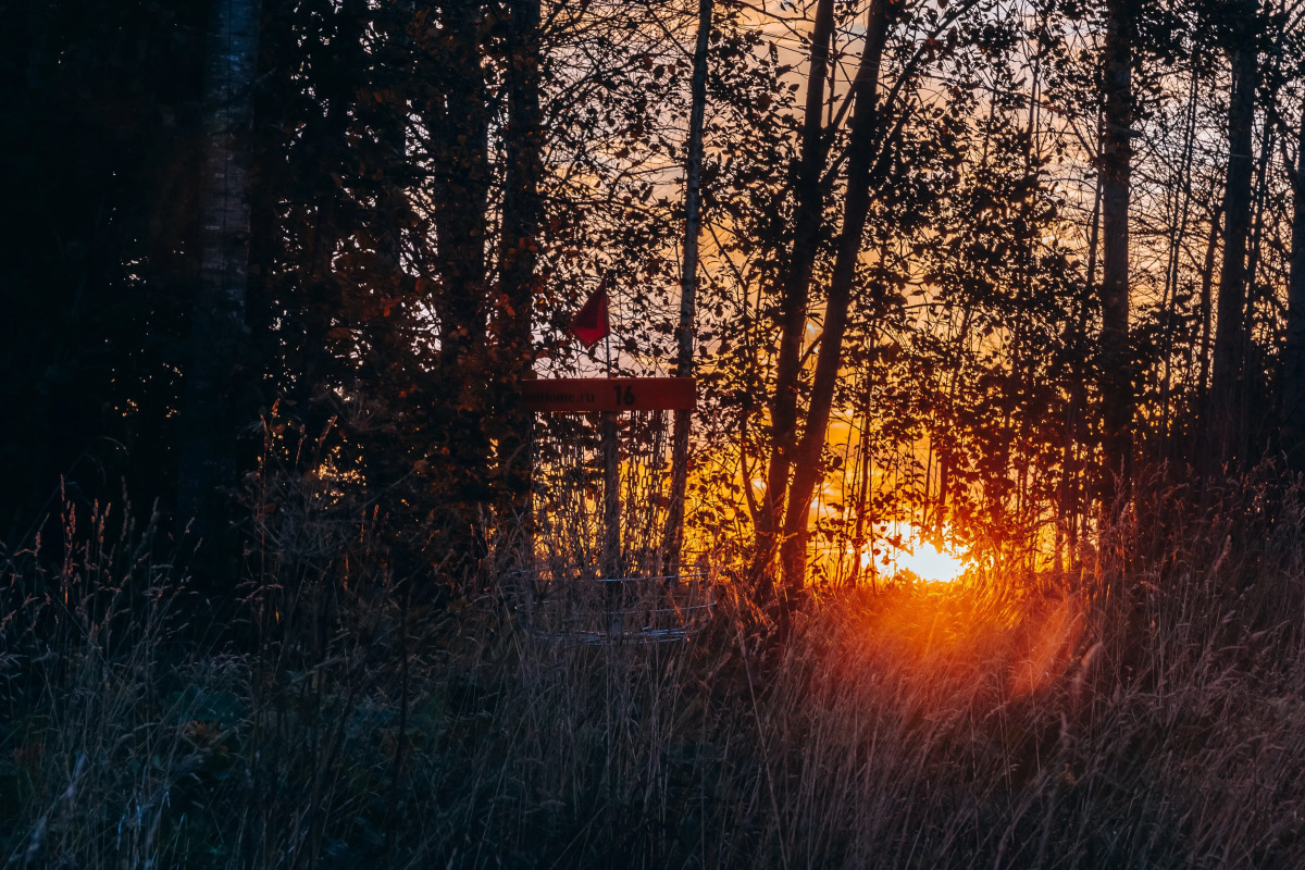 Кемпинг ForrestHome