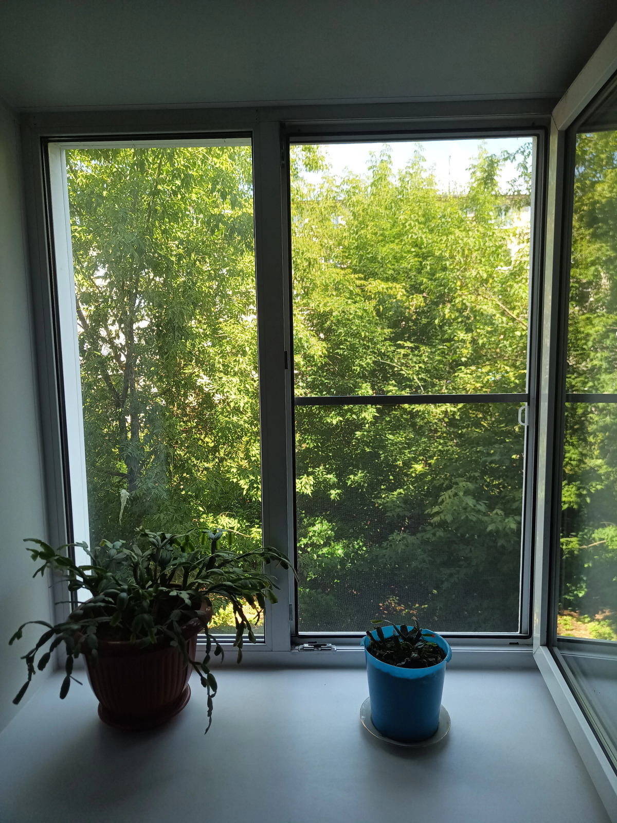 Квартира студия