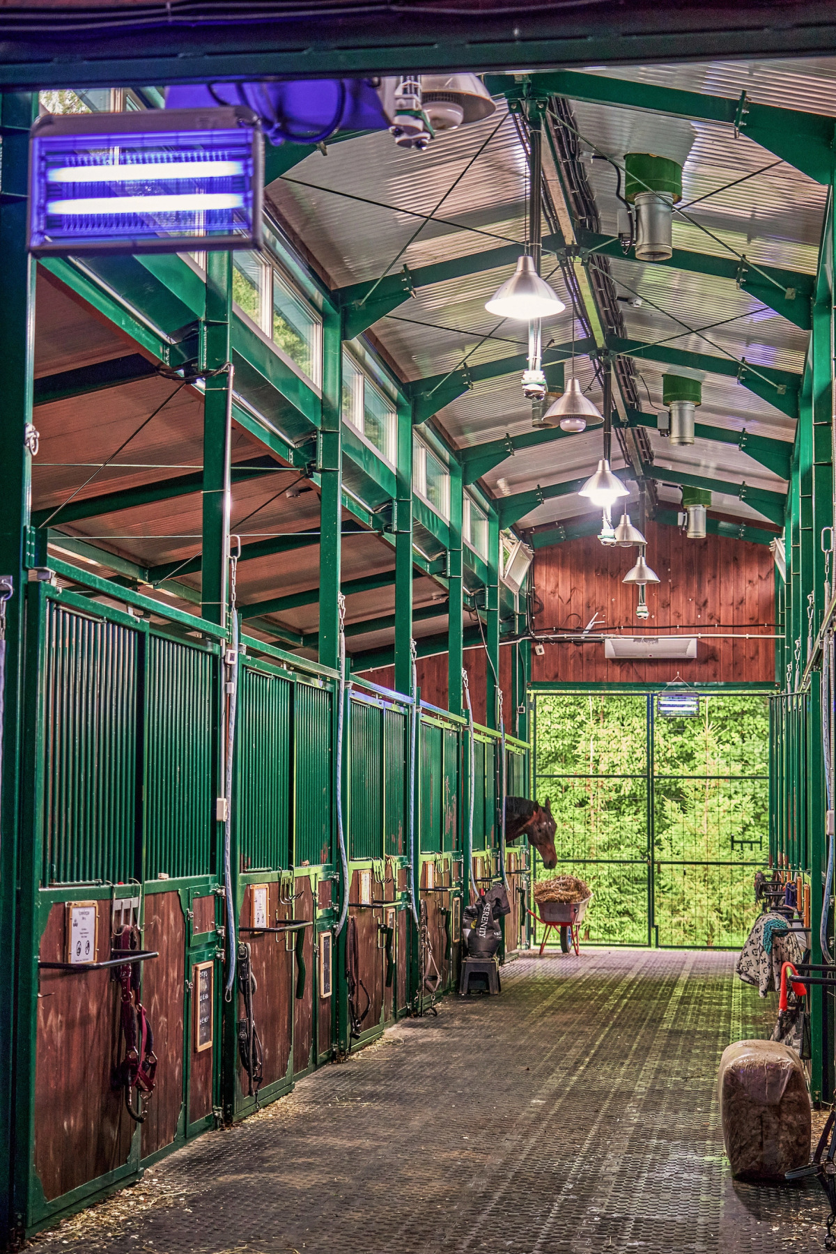 Отель GREEN CLUB family