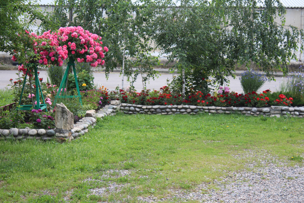 Гостевой дом У Друзей