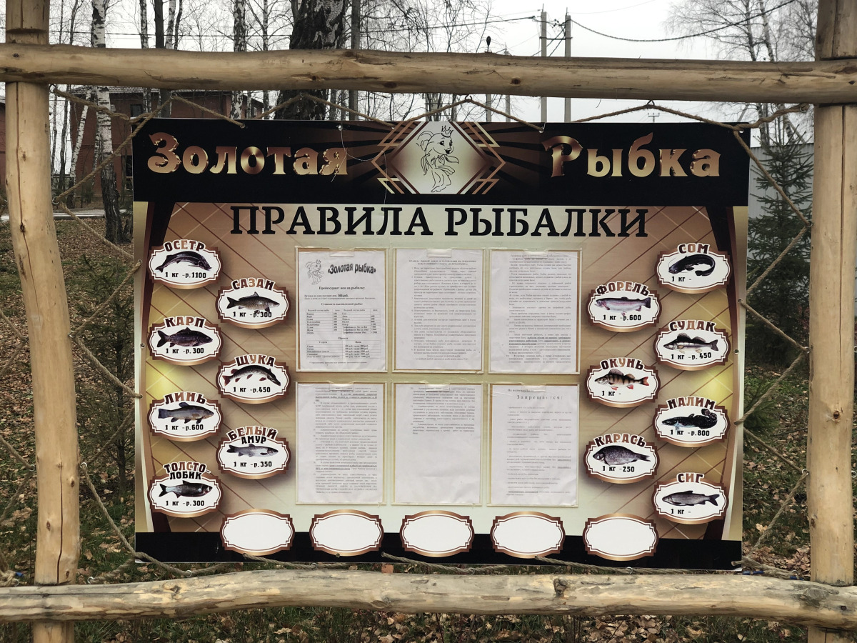 База Отдыха Золотая Рыбка