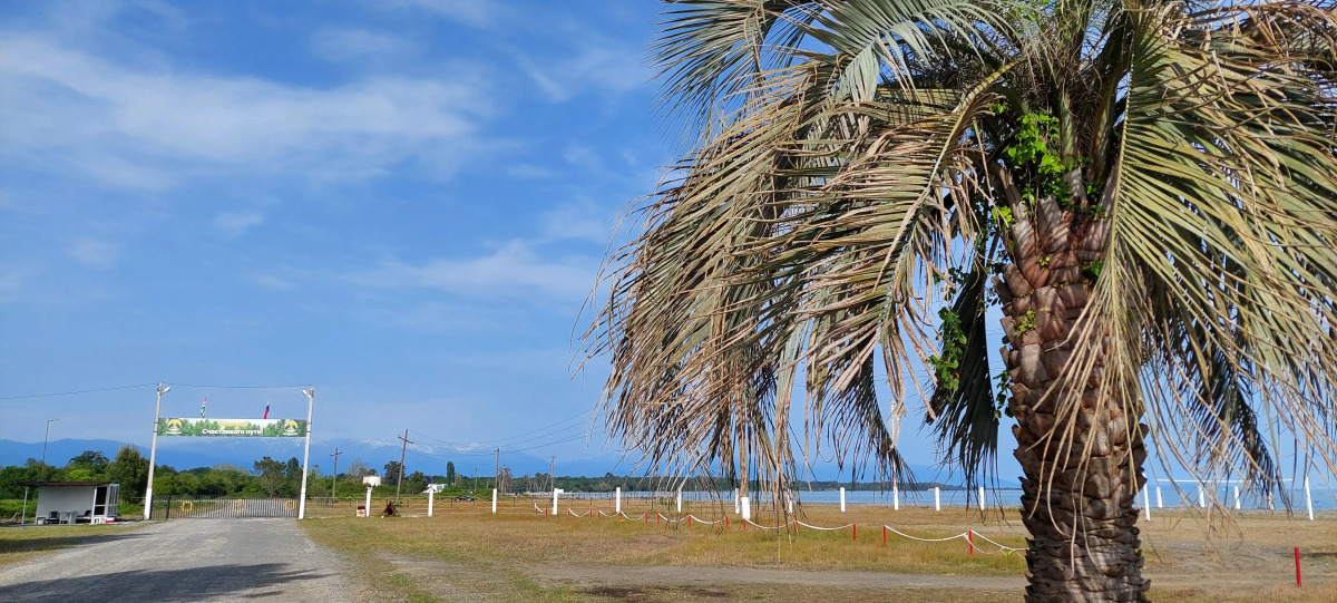 Курортный отель Сосновый Бор
