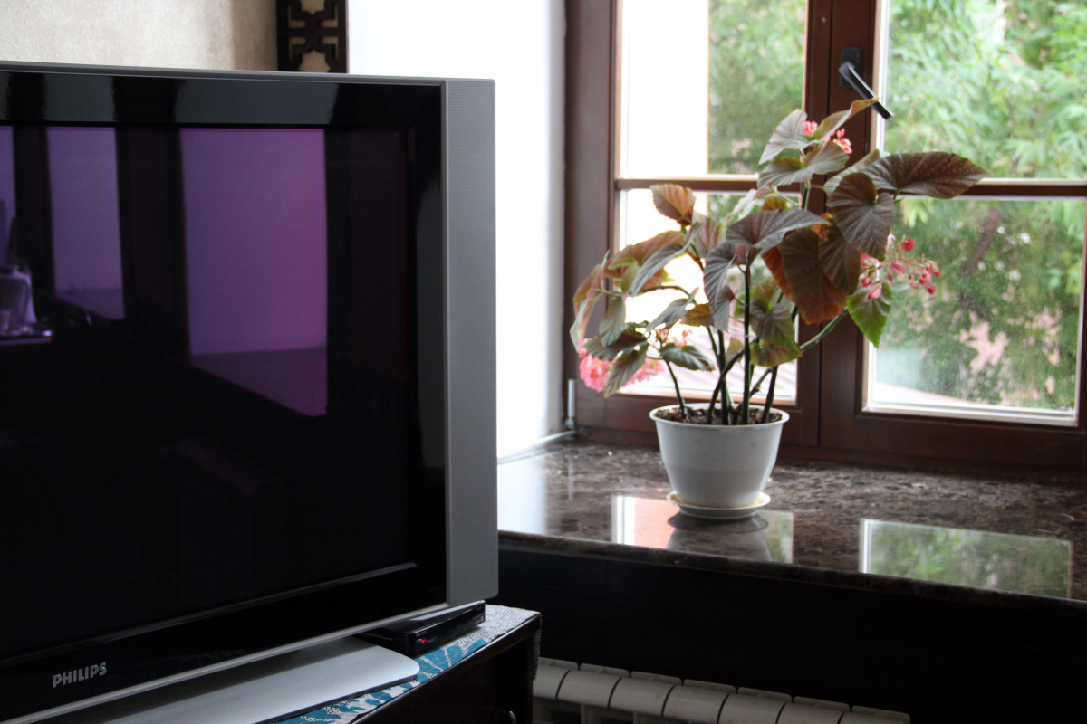 Отель Комнаты Сарацин