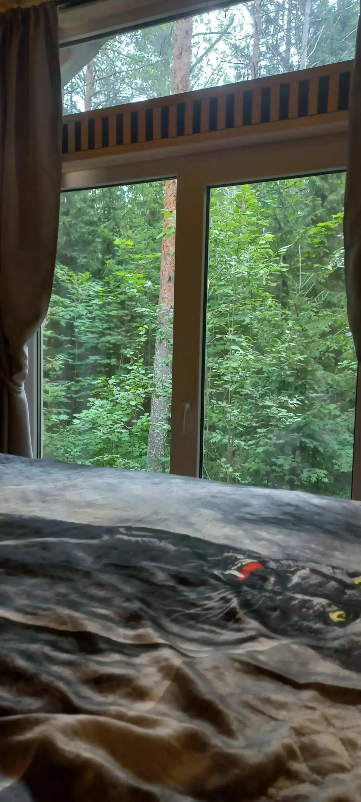 Частный дом Тихий Каньон