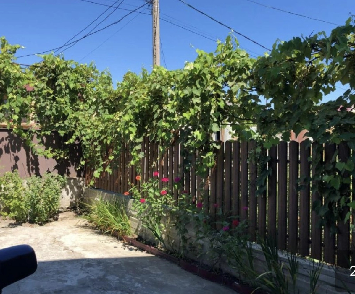 Гостевой дом Алиса