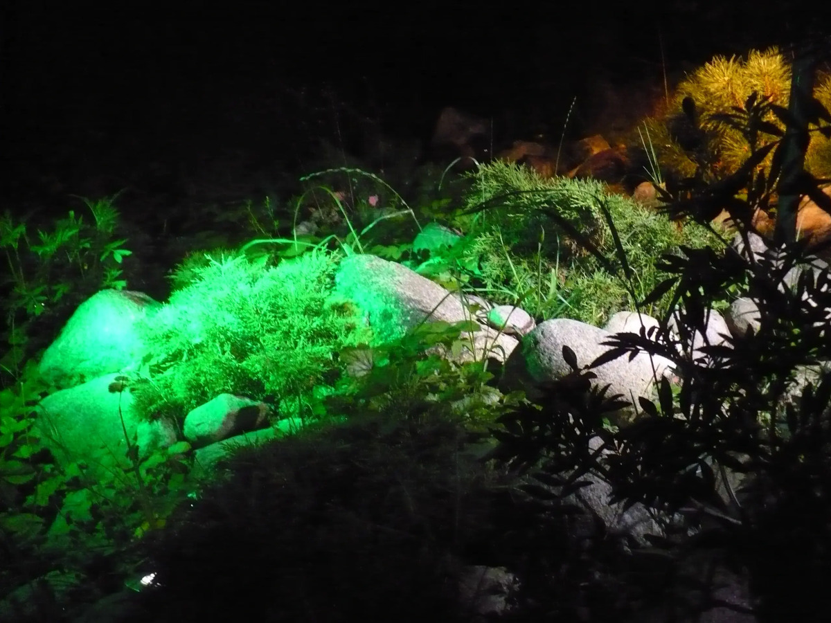 Гостевой дом Для семьи