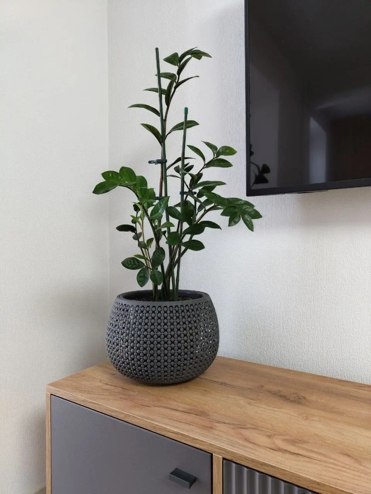 Квартира на Ленина 328/2