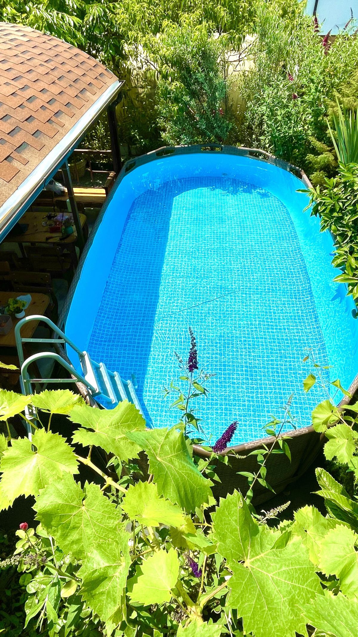 Мини-Отель Olympic House