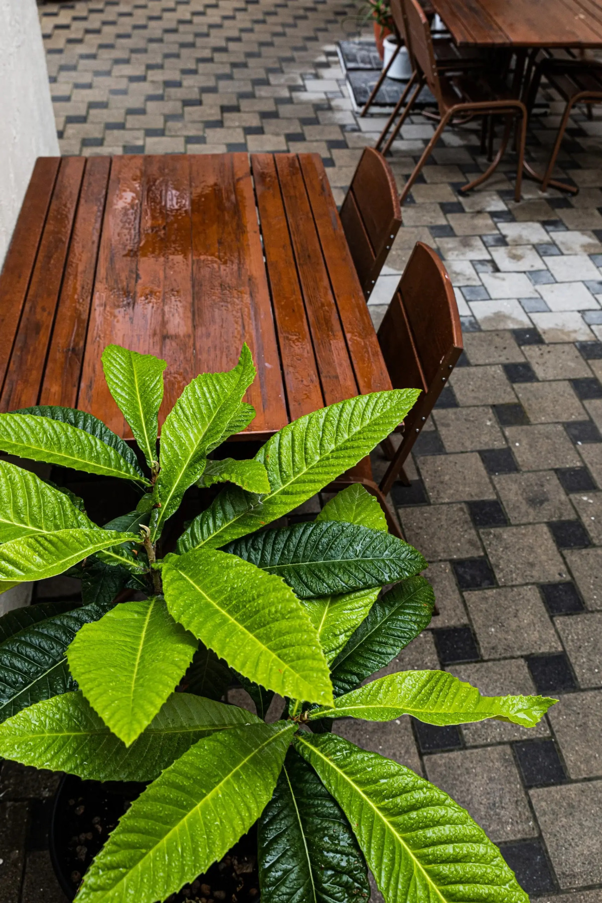 Гостевой дом Маис