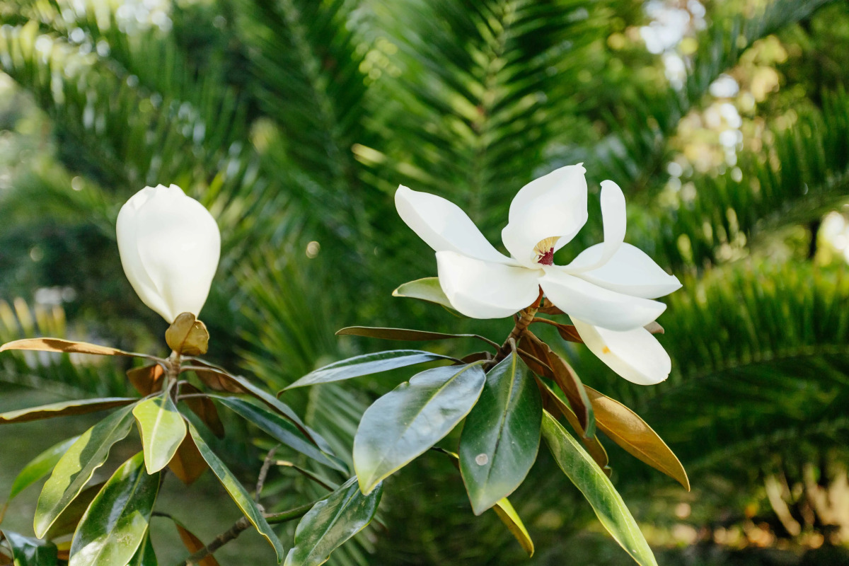 Amra Park Hotel & Spa