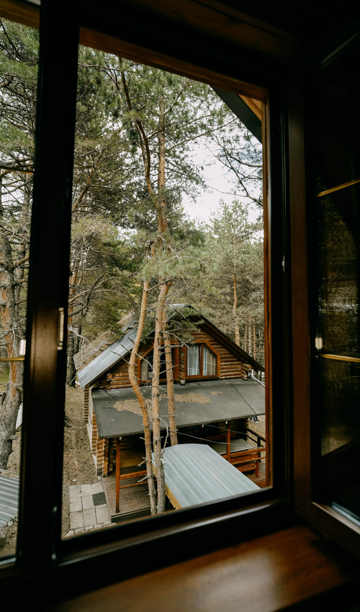 База отдыха Панорама Дигория