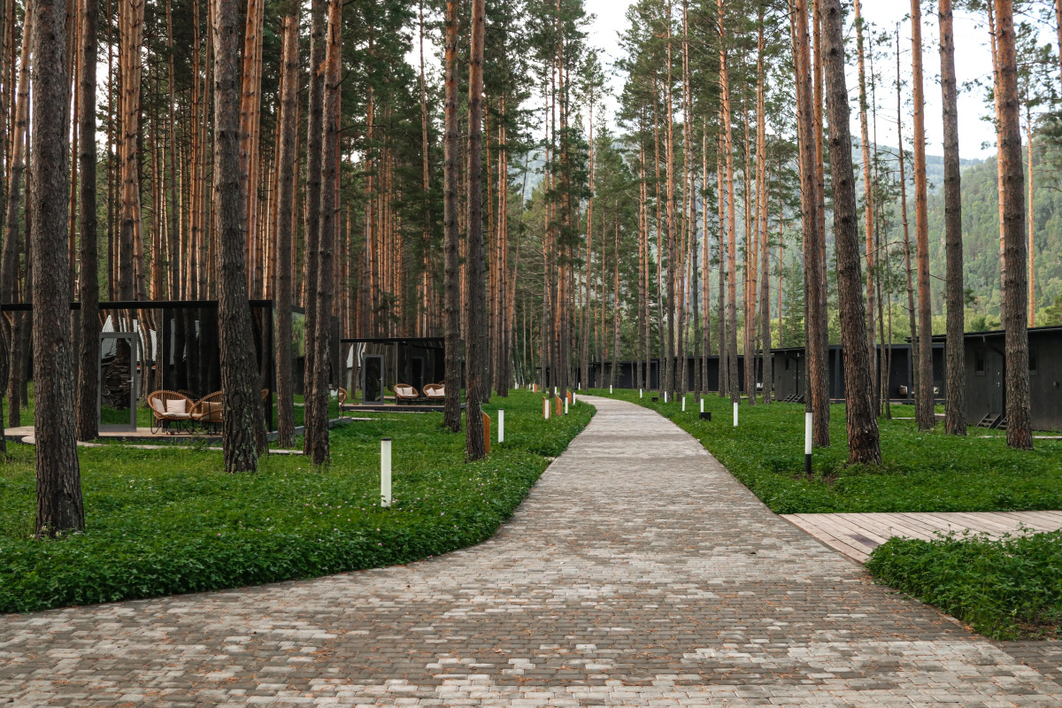 База Отдыха Pinewood Resort & Spa