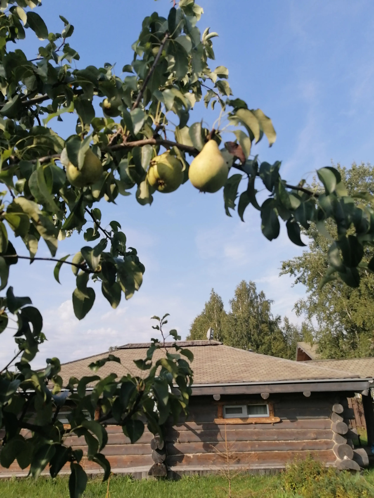 Гостевой дом Окулова Заимка