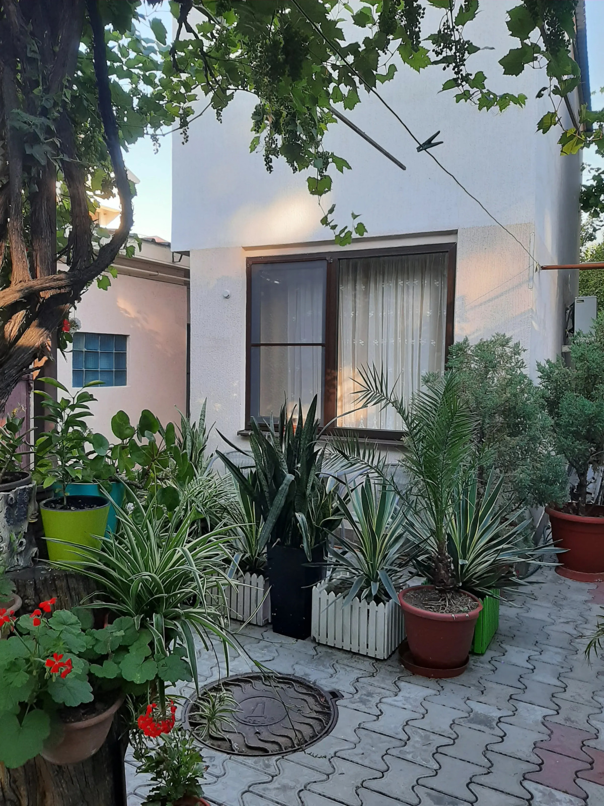 Гостевой дом Тенистый дворик