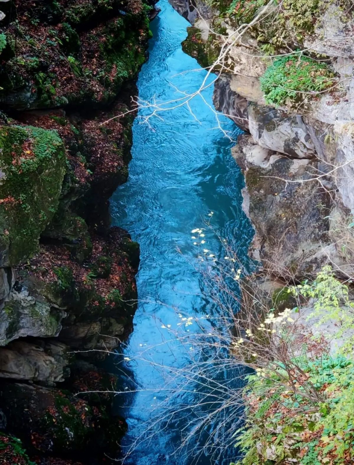 Квартира комфортная в самом центре города с приятным окружающим видом