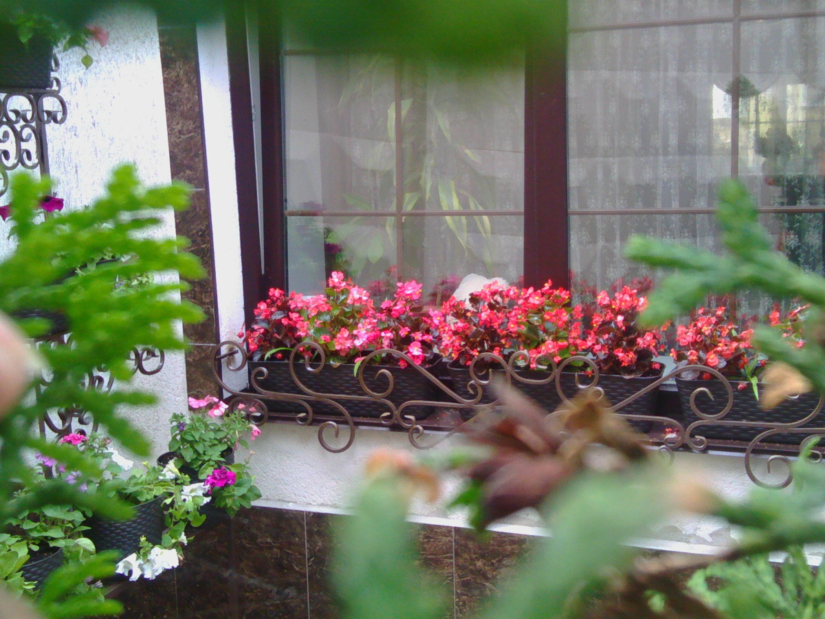 Мини-отель Губерния