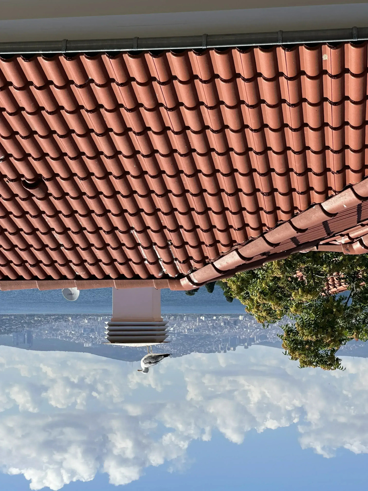 Апартаменты Mnimi