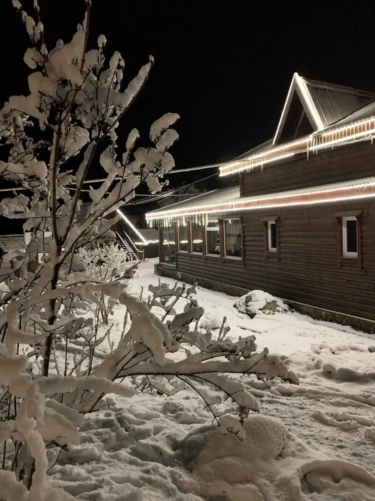 База отдыха Плотвичкина Заводь