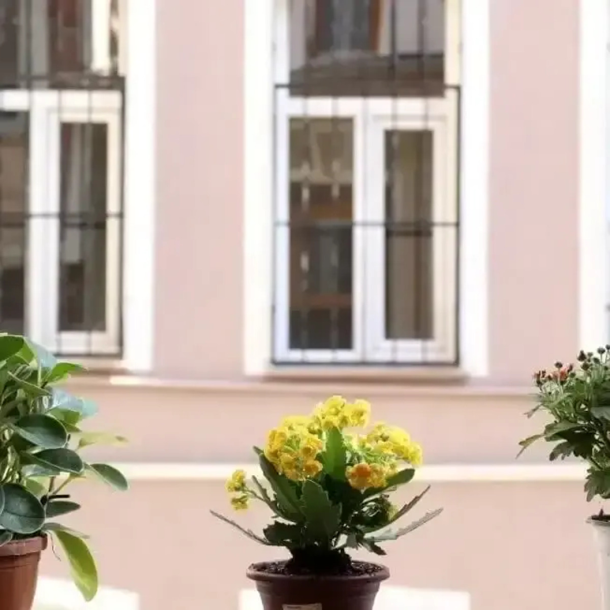 Бутик-отель NarPera Taksim