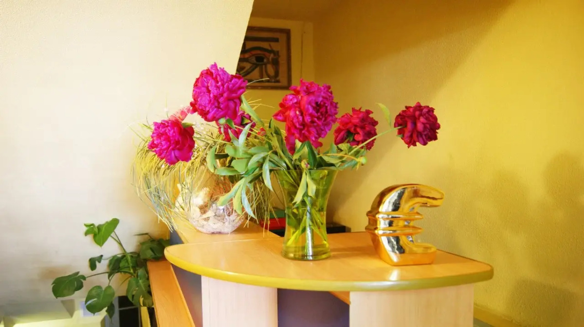 Мебелированные комнаты Хостел Dream House