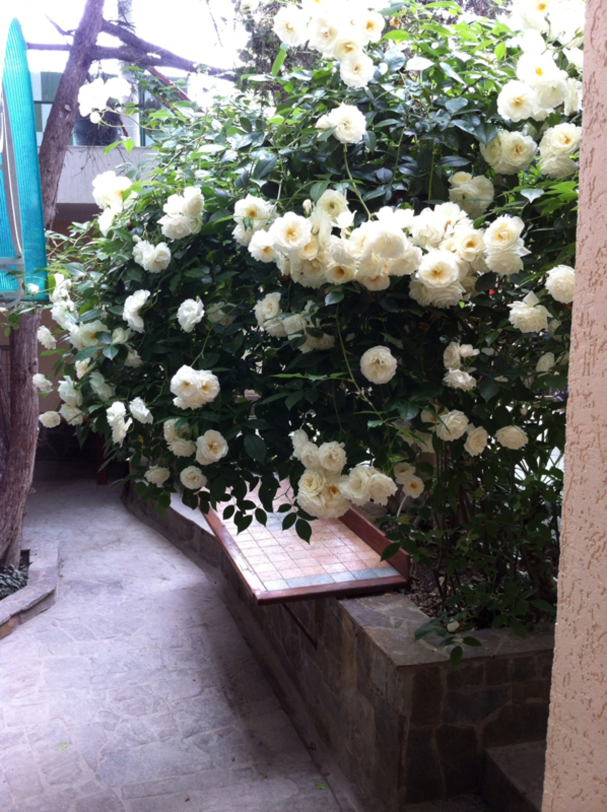 Апартаменты Голицына 19 2