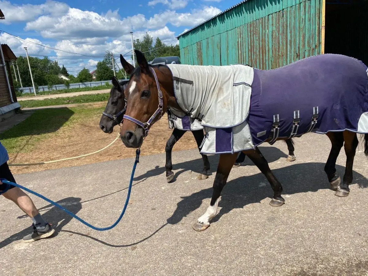 Частный дом Лисья Горка 30