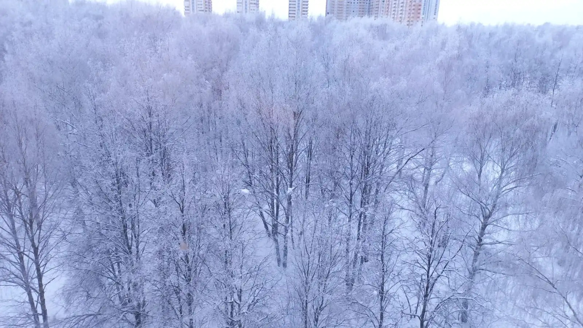 Апартаменты Home Away From Home